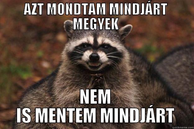 AZT MONDTAM MINDJÁRT MEGYEK NEM IS MENTEM MINDJÁRT Evil Plotting Raccoon