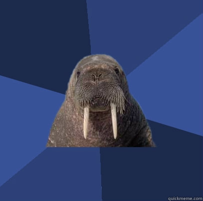      Web Developer Walrus