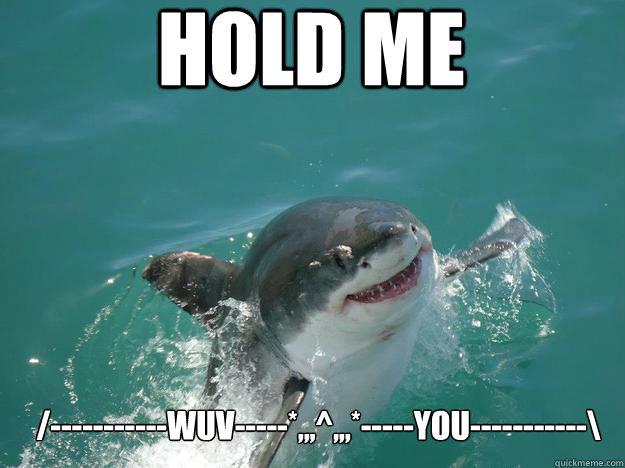 Hold Me /-----------wuv-----*,,,^,,,*-----You-----------\ - Hold Me /-----------wuv-----*,,,^,,,*-----You-----------\  Shark Buddy