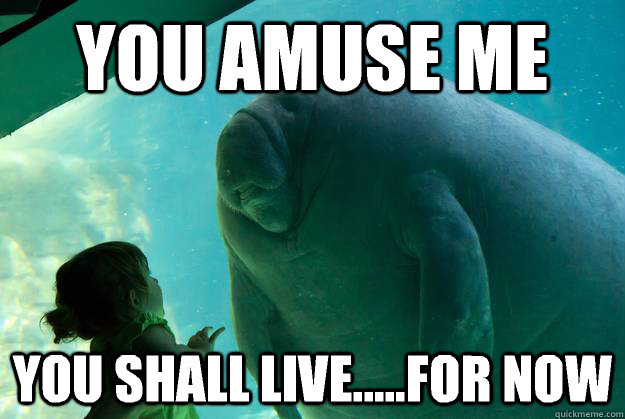 You amuse me You shall live.....for now - You amuse me You shall live.....for now  Overlord Manatee