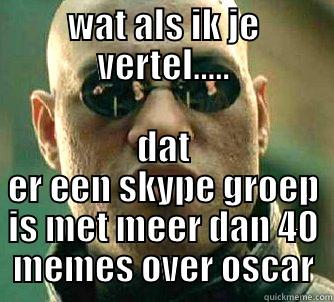 WAT ALS IK JE VERTEL..... DAT ER EEN SKYPE GROEP IS MET MEER DAN 40 MEMES OVER OSCAR Matrix Morpheus