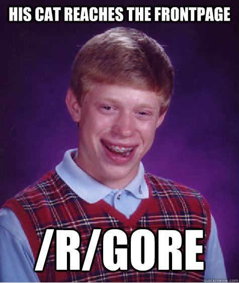 his cat reaches the frontpage /r/gore  Bad Luck Brian