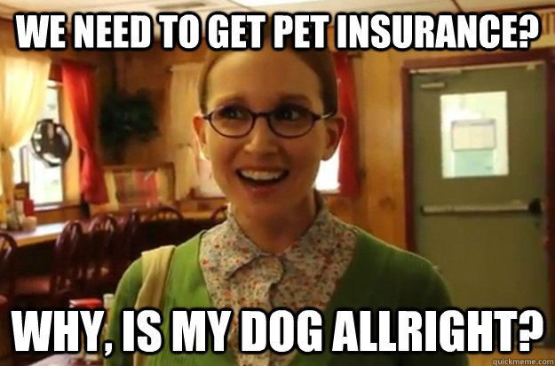 We need to get pet insurance? Why, is my dog allright?  Sexually Oblivious Female