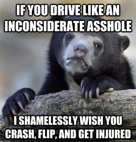 If you drive like an inconsiderate asshole I shamelessly wish you crash, flip, and get injured   Confession Bear