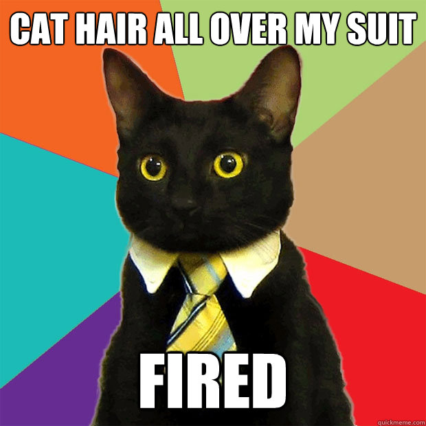 Cat hair all over my suit fired  Business Cat