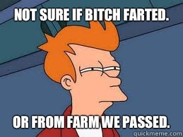 Not sure if bitch farted.  or from farm we passed.    Meme