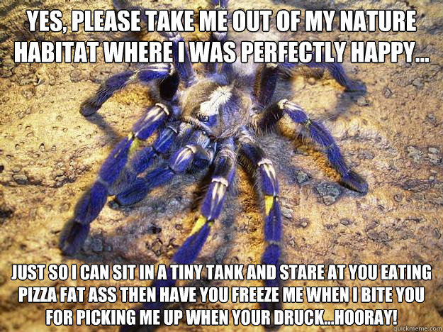 Yes, please take me out of my nature habitat where I was perfectly happy... Just so I can sit in a tiny tank and stare at you eating pizza fat ass then have you freeze me when I bite you for picking me up when your druck...HOORAY!  Tarantula