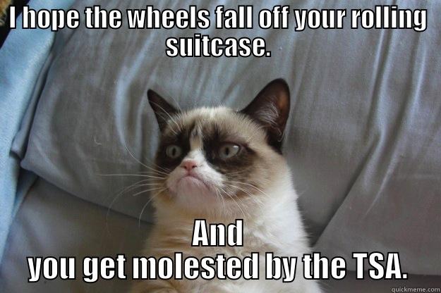 I HOPE THE WHEELS FALL OFF YOUR ROLLING SUITCASE. AND YOU GET MOLESTED BY THE TSA. Grumpy Cat