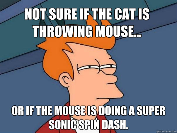 Not sure if the cat is throwing mouse... or if the mouse is doing a super sonic spin dash.  Futurama Fry