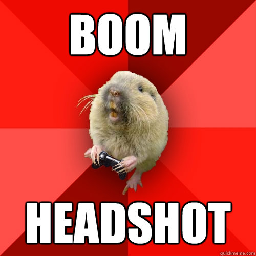 BOOM HEADSHOT  Gaming Gopher