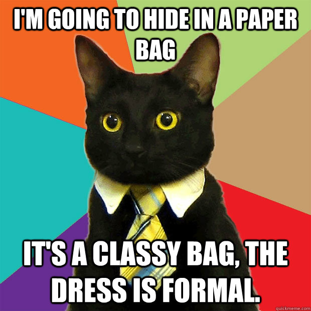 i'm going to hide in a paper bag it's a classy bag, the dress is formal.  Business Cat