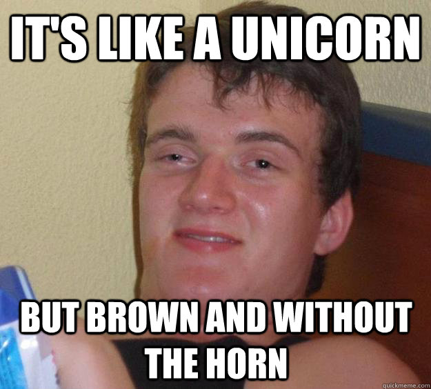 It's like a unicorn But brown and without the horn  10 Guy