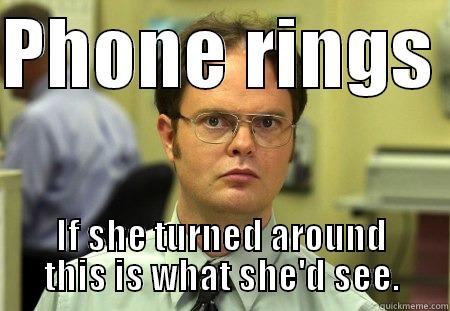 PHONE RINGS  IF SHE TURNED AROUND THIS IS WHAT SHE'D SEE. Schrute