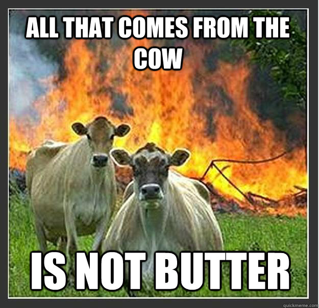 All that comes from the cow is not butter - All that comes from the cow is not butter  Evil cows