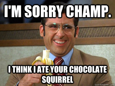 I'm Sorry champ.  I think i ate your chocolate squirrel  Brick Tamland