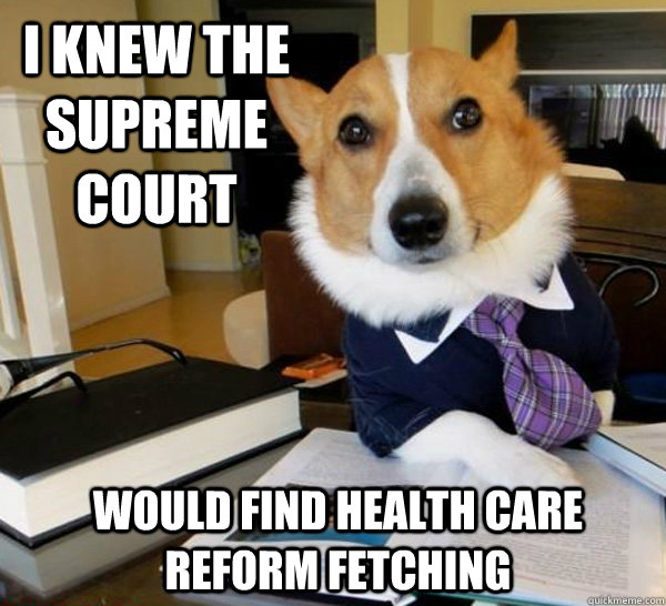 I knew the supreme court would find health care reform fetching  Lawyer Dog