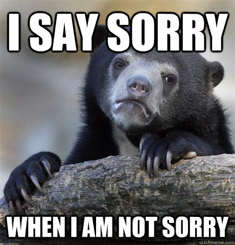 I say sorry When I am not sorry - I say sorry When I am not sorry  Confession Bear