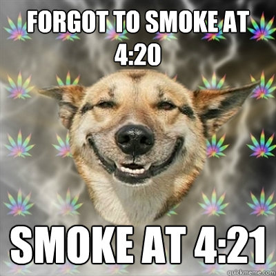 Forgot to smoke at 4:20 Smoke at 4:21  Stoner Dog