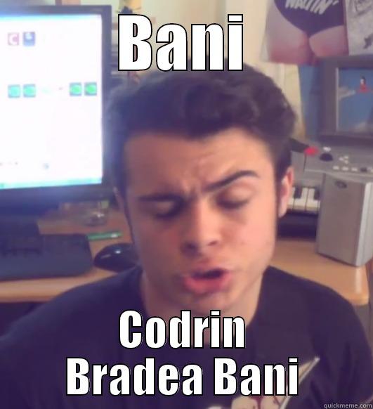 BANI CODRIN BRADEA BANI Misc