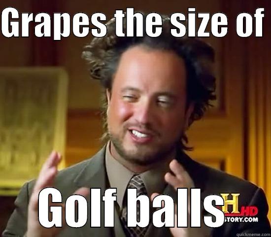 GRAPES THE SIZE OF  GOLF BALLS Ancient Aliens