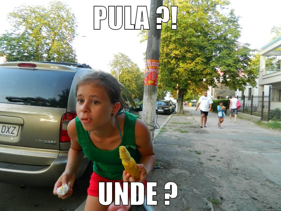 PULA ?!  UNDE ? Misc