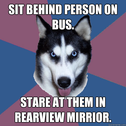 sit behind person on bus. stare at them in rearview mirrior.  Creeper Canine