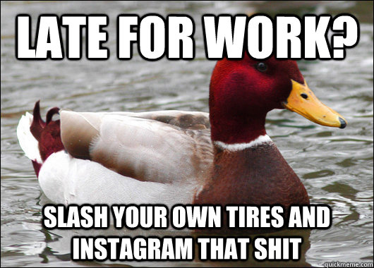 Late for work? slash your own tires and instagram that shit - Late for work? slash your own tires and instagram that shit  Malicious Advice Mallard