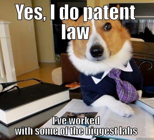 YES, I DO PATENT LAW I'VE WORKED WITH SOME OF THE BIGGEST LABS Lawyer Dog