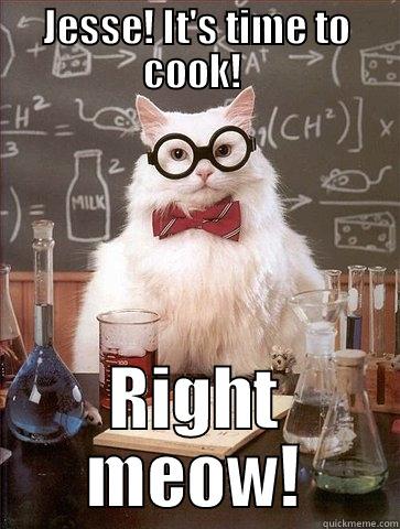 Heisenberg Kitty - JESSE! IT'S TIME TO COOK!  RIGHT MEOW! Chemistry Cat