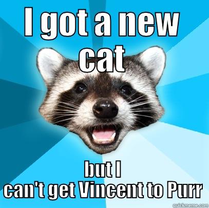 I GOT A NEW CAT BUT I CAN'T GET VINCENT TO PURR Lame Pun Coon