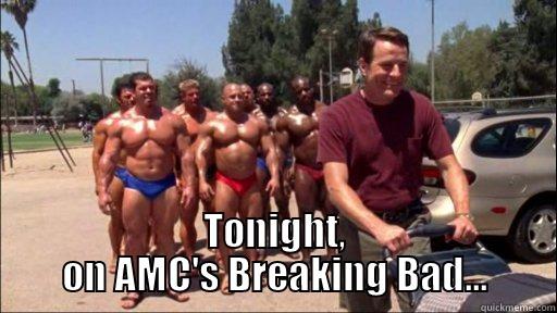 BrBa Bodybuilders -  TONIGHT, ON AMC'S BREAKING BAD... Misc