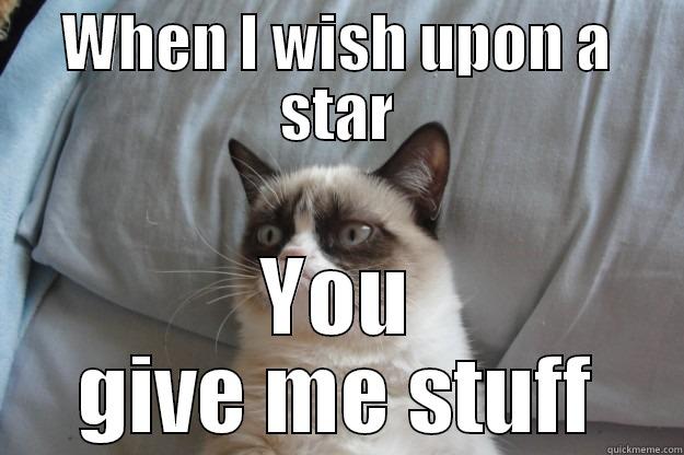 WHEN I WISH UPON A STAR YOU GIVE ME STUFF Grumpy Cat