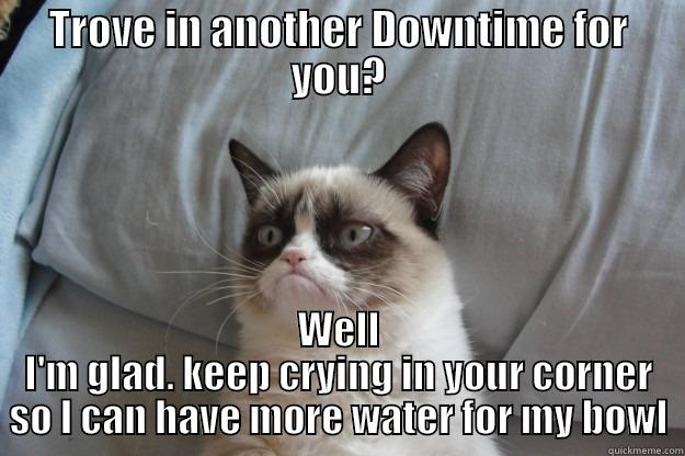 Waiting for Complaints. - TROVE IN ANOTHER DOWNTIME FOR YOU? WELL I'M GLAD. KEEP CRYING IN YOUR CORNER SO I CAN HAVE MORE WATER FOR MY BOWL Grumpy Cat