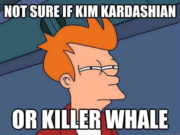 Not sure if kim kardashian Or Killer Whale  Futurama Fry