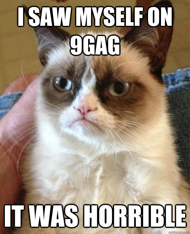 I saw myself on 9gag It was Horrible  Grumpy Cat