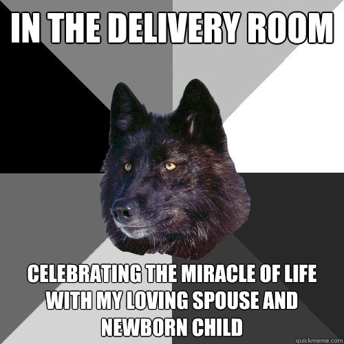 in the delivery room celebrating the miracle of life with my loving spouse and newborn child  Sanity Wolf