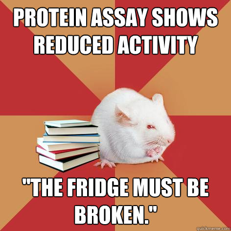 protein assay shows reduced activity 