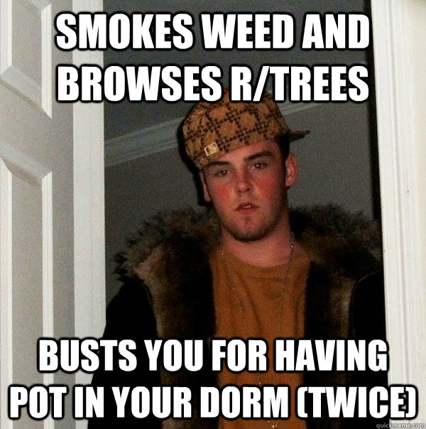 Smokes weed and browses r/trees busts you for having pot in your dorm (twice)  Scumbag Steve