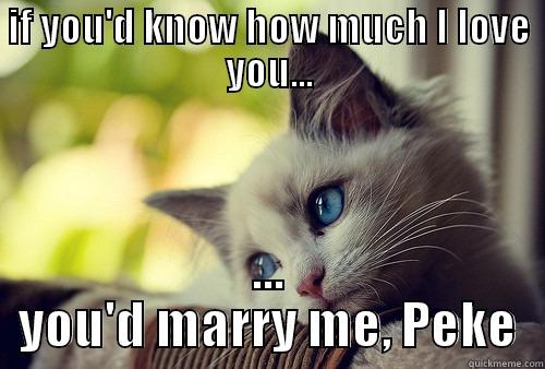 IF YOU'D KNOW HOW MUCH I LOVE YOU... ... YOU'D MARRY ME, PEKE First World Problems Cat