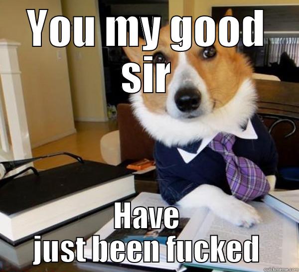 Royaly screwed - YOU MY GOOD SIR HAVE JUST BEEN FUCKED Lawyer Dog