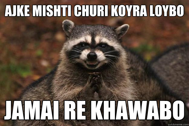 Ajke mishti churi koyra loybo jamai re khawabo  Evil Plotting Raccoon