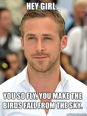 Hey Girl You so fly, you make the birds fall from the sky.
 - Hey Girl You so fly, you make the birds fall from the sky.
  Misc