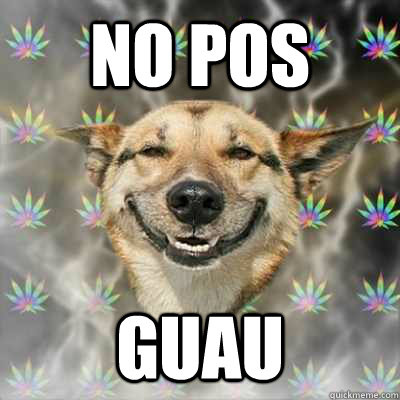 no pos guau - no pos guau  Stoner Dog