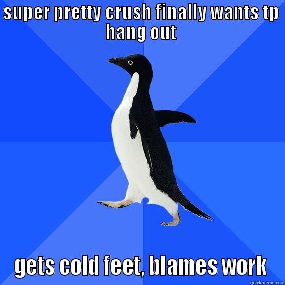 Super pretty crush finally wants to hang out... - SUPER PRETTY CRUSH FINALLY WANTS TP HANG OUT GETS COLD FEET, BLAMES WORK Socially Awkward Penguin