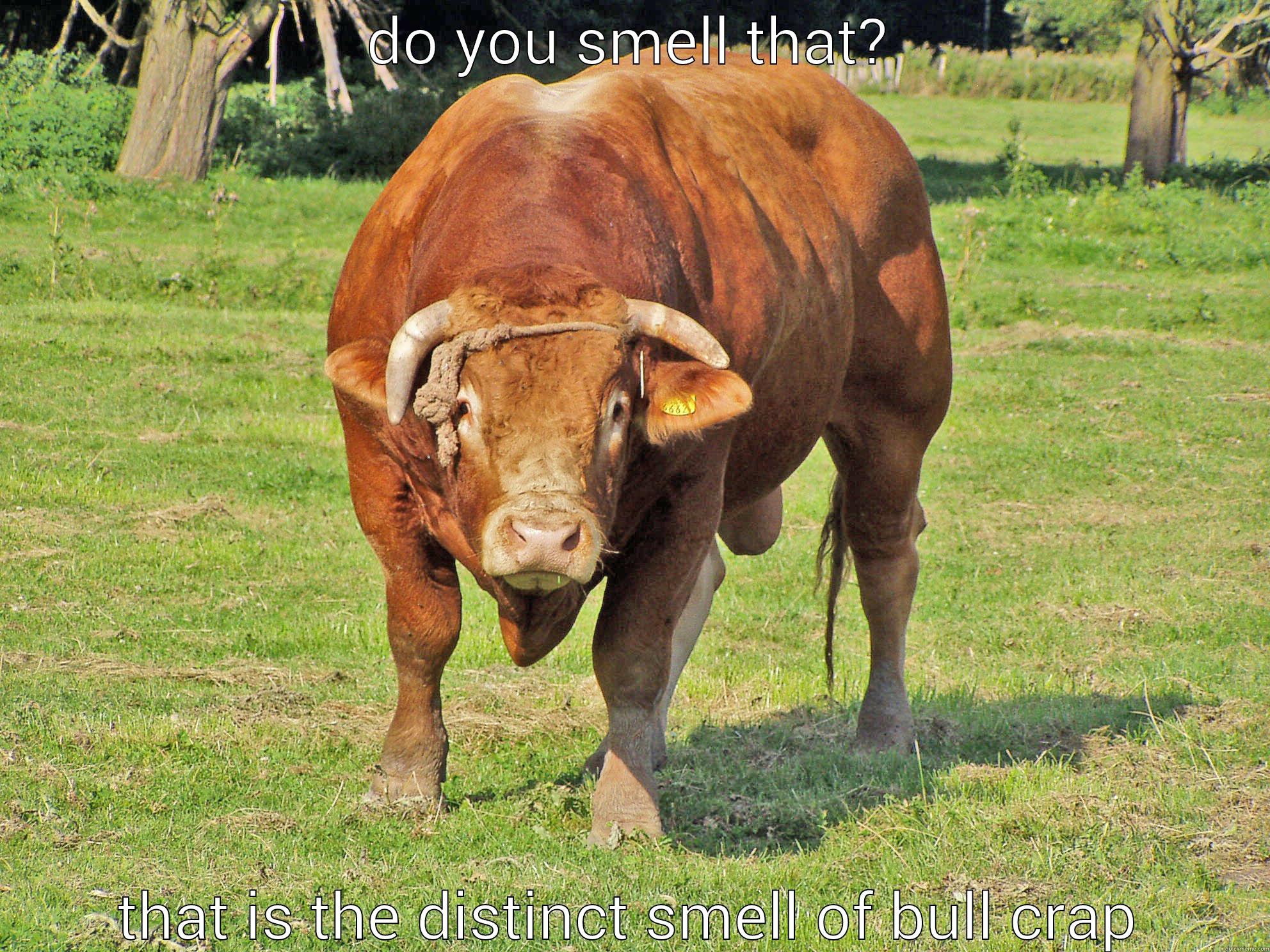 do you smell that? - DO YOU SMELL THAT? THAT IS THE DISTINCT SMELL OF BULL CRAP Misc