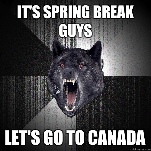 It's spring break guys Let's go to Canada - It's spring break guys Let's go to Canada  Insanity Wolf