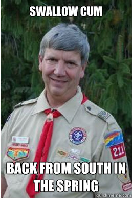 Swallow cum back from South in the spring  Harmless Scout Leader