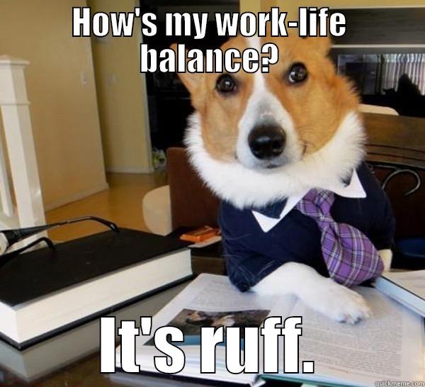 HOW'S MY WORK-LIFE BALANCE? IT'S RUFF. Lawyer Dog