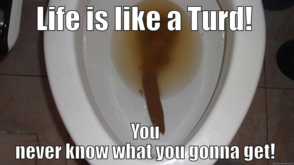 Biggest Turd Ever - LIFE IS LIKE A TURD! YOU NEVER KNOW WHAT YOU GONNA GET! Misc