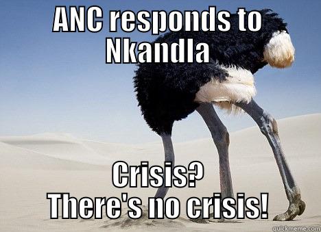 ANC RESPONDS TO NKANDLA CRISIS? THERE'S NO CRISIS! Misc